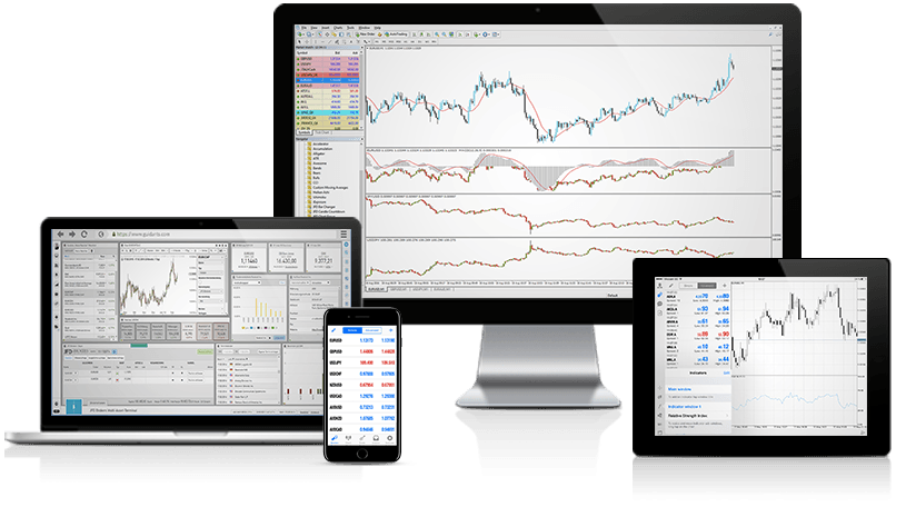 Multi device metatrader software